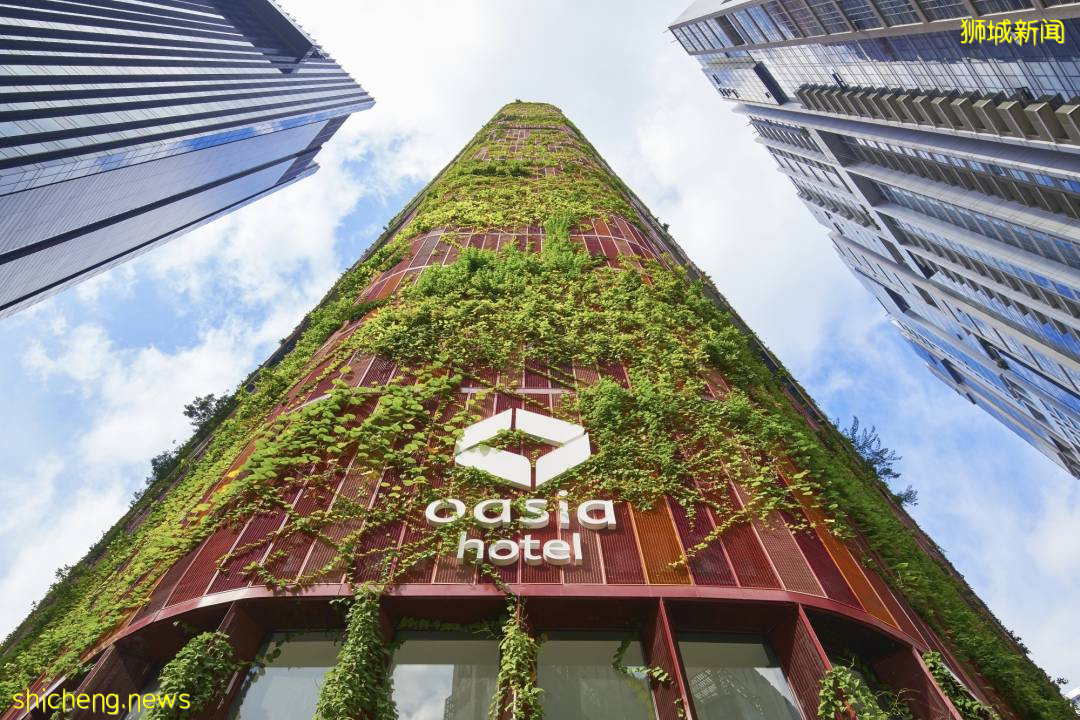 【周末去哪】夜間探險露營、植物園音樂會！海鮮自助$13.9起、周大福珠寶促銷、高島屋美妝4折