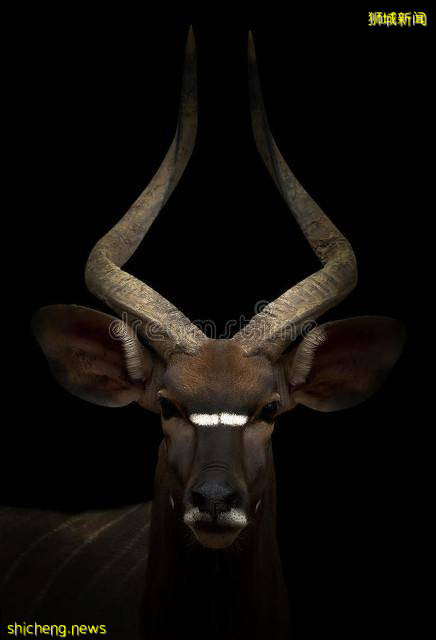 新加坡｜新加坡冷知识，关于21件你不知道的事