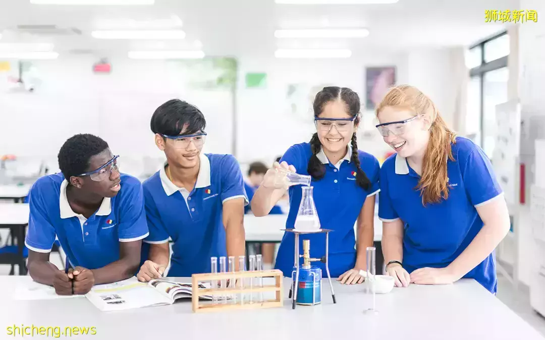 史上最強攻略!在新加坡如何選學校?國際學校vs政府學校,哪個好