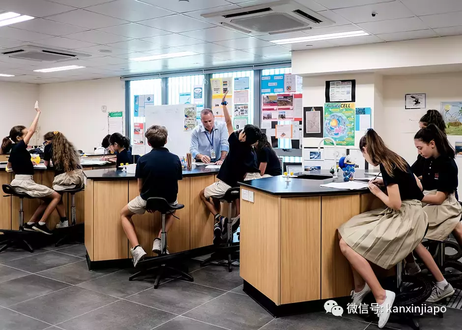 专业人士分析:新加坡国际学校佳绩为何能碾压全球