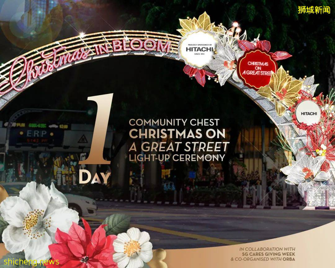 烏節路“花開聖誕”燈飾周六亮燈拉!在線360度雲遊即將啓動