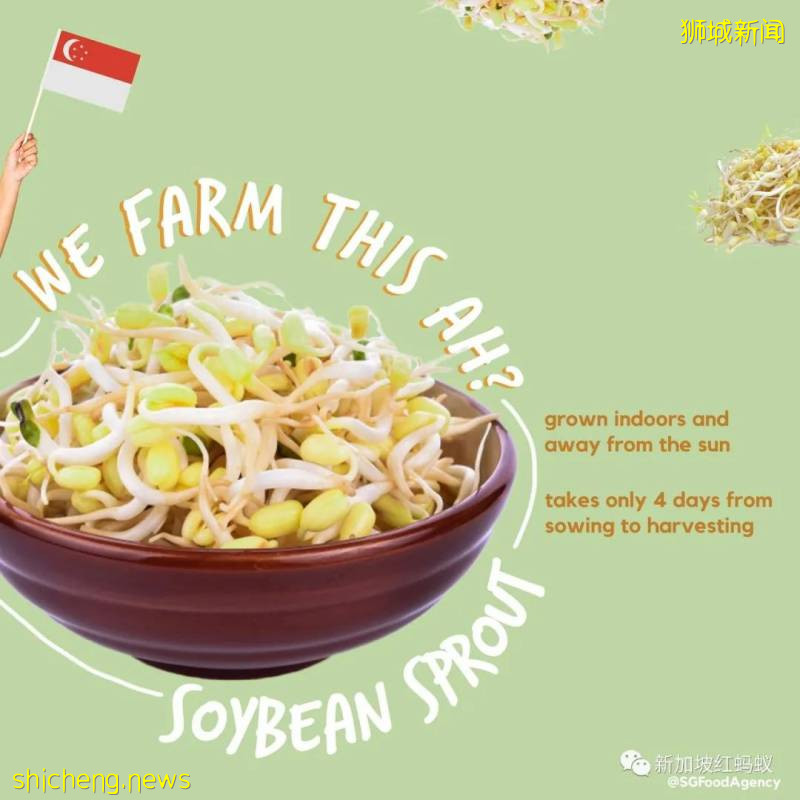 你知道這些蔬果、魚蝦、牛蛙和蛋類都是“新加坡生産”的嗎