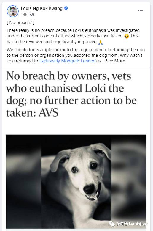 人道毁灭失控宠物狗引发争论,国会议员出面质疑