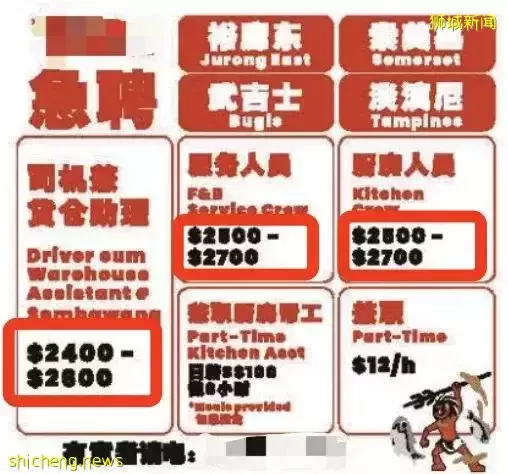 月薪3000新招不到助手,摊位关门!新加坡现在疯狂缺人
