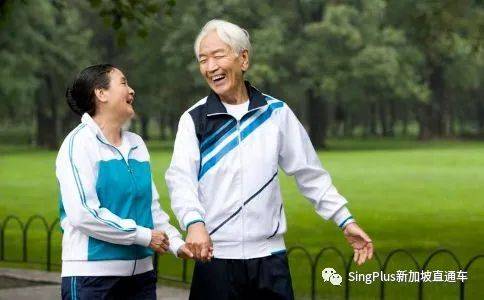 新加坡，遍地“老司機”