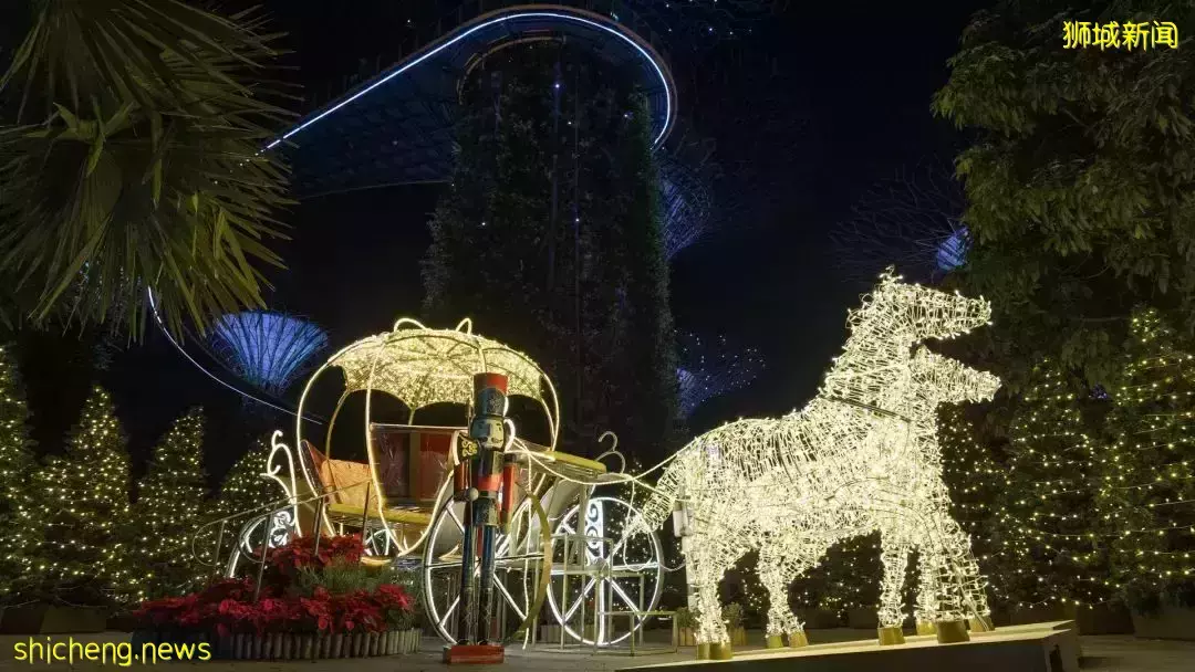 新加坡濱海灣花園一年一度聖誕仙境閃亮登場！花穹歲末花展帶你走進童話世界