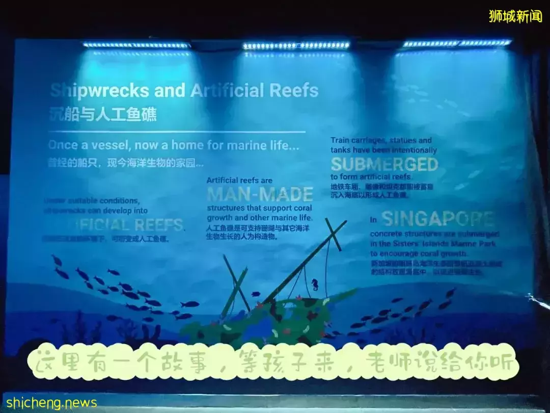 “从来没发现海洋馆这么好玩,我家娃竟然还拿到了鲨鱼的牙齿!”