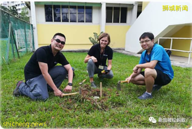 新加坡明明无天灾,为何要在全岛勘探地底结构评估地震风险