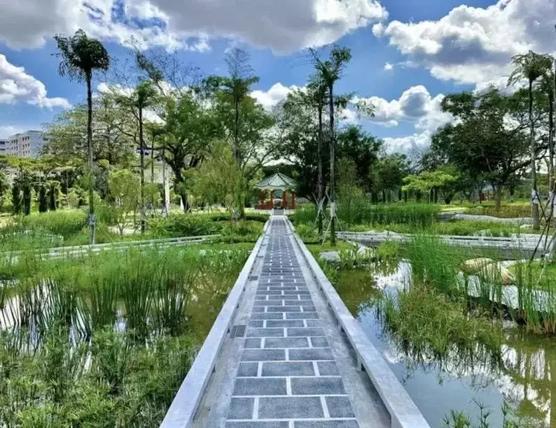 跟男友在新加坡共同開始，他成功了，我卻留在原地