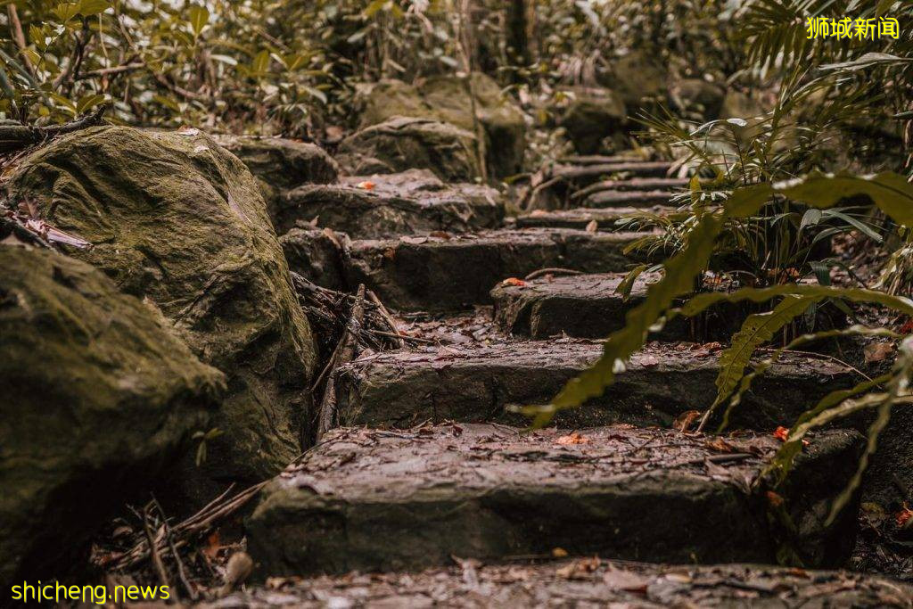 隐藏在新加坡的日式鸟居⛩️和凉亭,就在Bukit Batok