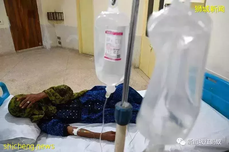 新加坡天氣越變越熱？　科學家：氣候變化使極端夏季提早來臨