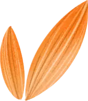 食在獅城 炎炎夏日！當然是冰啤酒和海鮮最配啦！ 坡島手抓海鮮專賣店推薦來咯