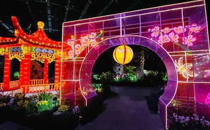 新加坡濱海灣花園新春花展“大麗花之夢”攜手“春到河畔”，熱鬧溫馨年味濃