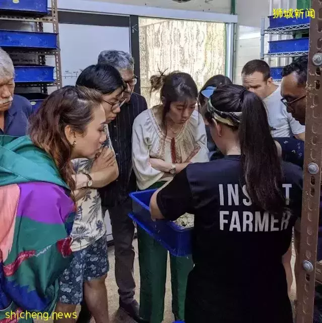 新加坡5月免費活動！消防體驗、昆蟲農場、坐纜車！太適合一家出行