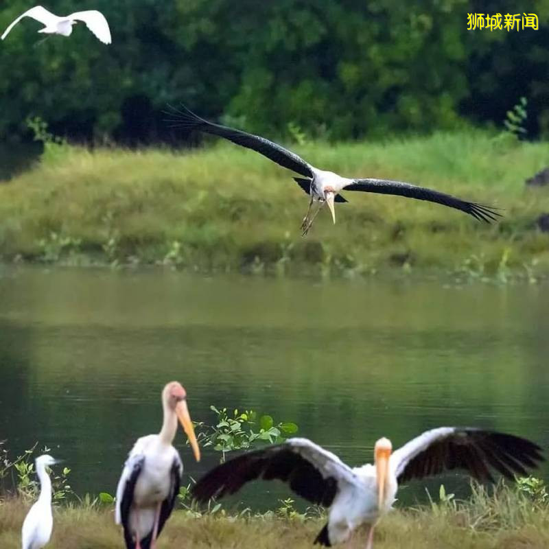 新加坡——全球最美花園城市