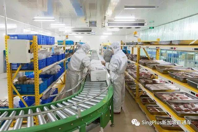 新加坡副總理再發聲明!新一輪舉措助力本地重振經濟、實現複蘇