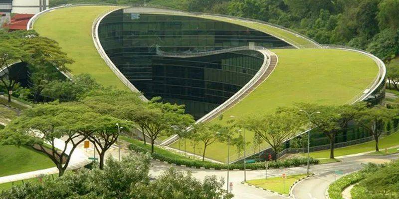 新加坡南洋理工大学超九成毕业生半年内受聘，起薪同比增长4%