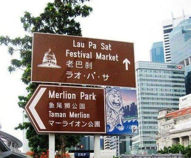 华语，新加坡宠儿