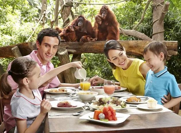 新加坡!让你领略大都市里的世外桃源,无脑攻略带你玩转新加坡!