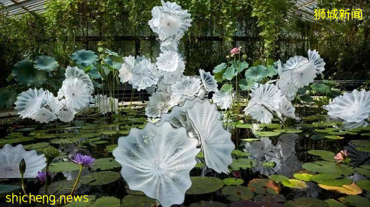 ​【周末去哪】國慶景點門票買1送1，$1.99榴梿，思家客$1促銷，2.5折小CK清倉，4.4折添好運