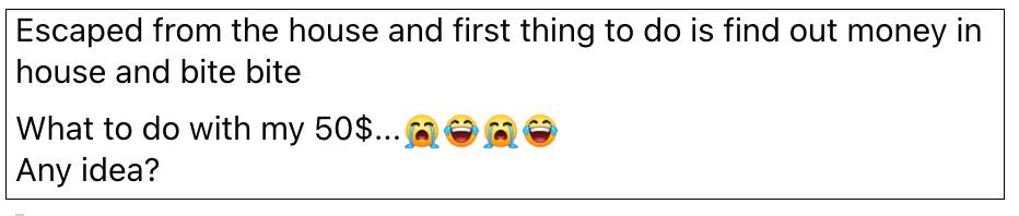 新加坡一只小倉鼠把50新幣當磨牙棒,結果