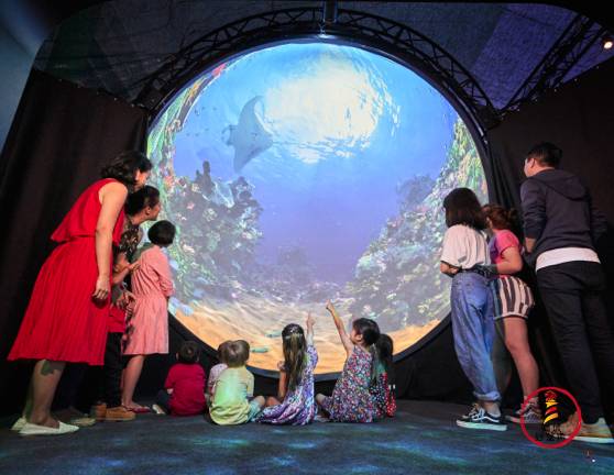 2020年11月份的假期開始喽