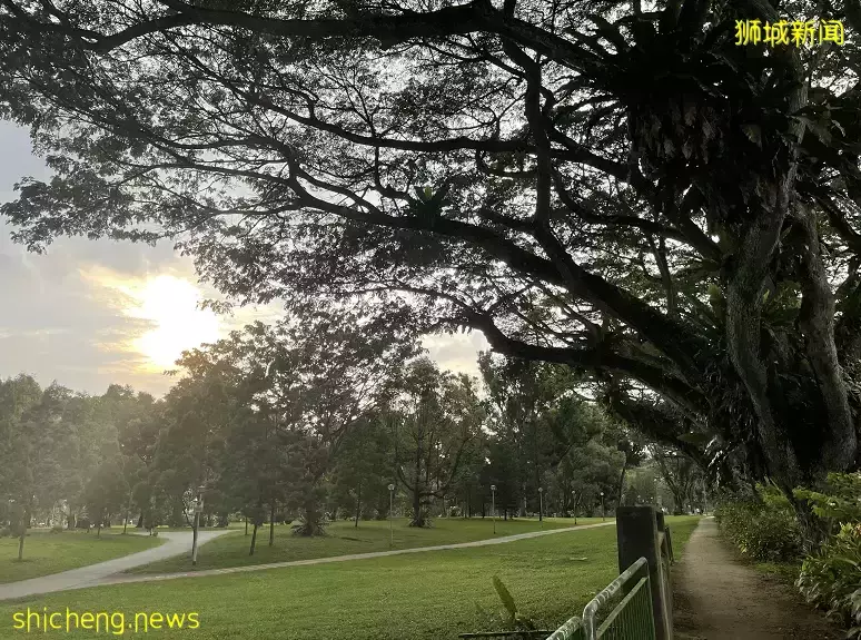 新加坡的“中央公園”突然火了！周圍房價要漲