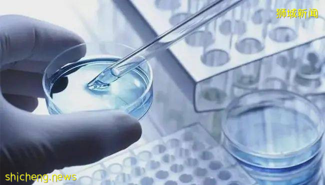 發達的新加坡，爲何明年才正式“限塑”