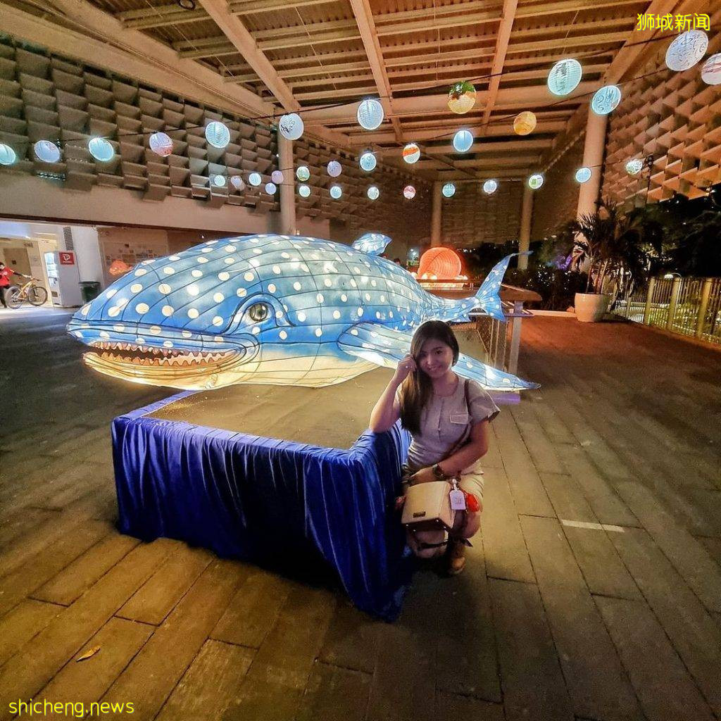 夜太美！Jurong Lake Gardens中秋灯饰、展览至10月3日🏮鲨鱼八爪鱼灯笼、呆萌可爱🐙 