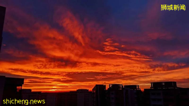 刷屏!新加坡昨天出现绝美彩虹,副总理也忍不住转发!