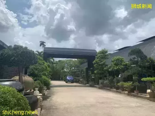 《即刻隨心所想，心想獅城》新加坡生態遊系列2