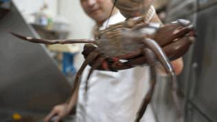 天天漁港-米其林推薦餐廳!絕對不能錯過的海鮮盛宴!