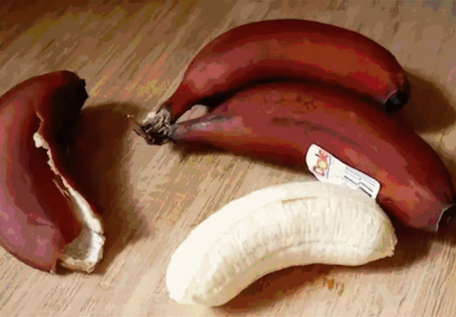 我勸你,千萬別來新加坡