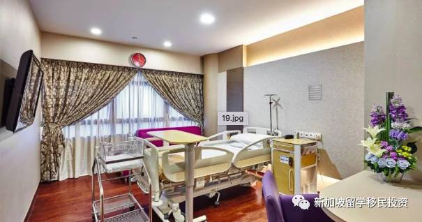 熱門移民國家——新加坡,那種方案適合您