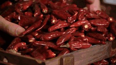 【食尚獅城】感受川菜百味只在蜀晏