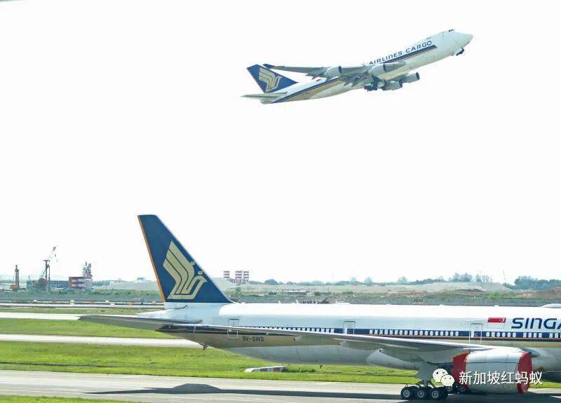 對新航前景憂心忡忡　網友紛紛出謀獻策：機上相親、機艙主題樂園