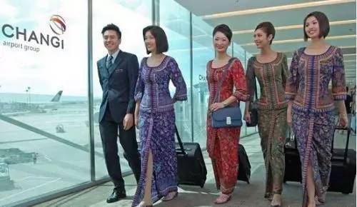 獅城見聞 | 新加坡胡姬花趣事!