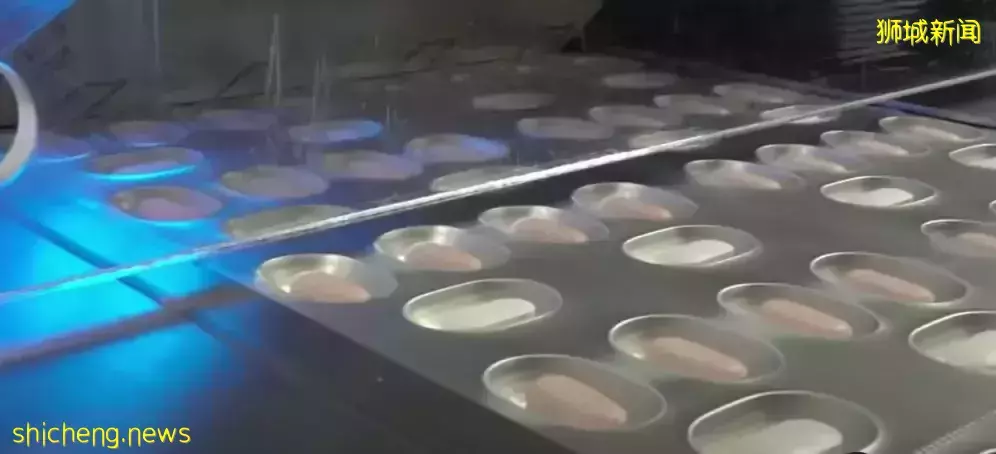 新加坡制定政策推動加強針接種,只吃藥不打針!瑞輝Covid19藥丸功效高達90%