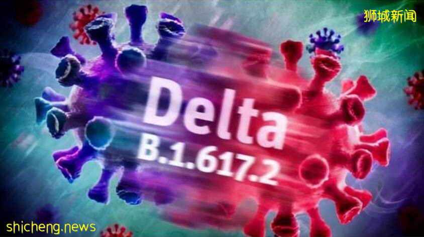 年轻人更易感染Delta变种病毒，新加坡卫生部长回应：不会对儿童更具攻击力