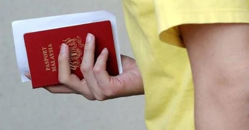 因为小学的儿子跟我们说的一句话，我换国籍了