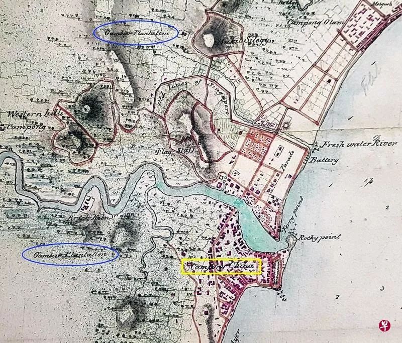 如胶似蜜 新加坡开埠初期 柔佛王国华人与甘蜜贸易