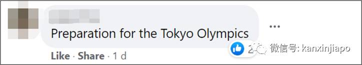 新加坡猴子是游泳健将,天天到公寓嬉水