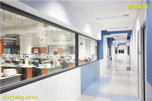 升学新加坡公立院校/海外名校,还真有捷径