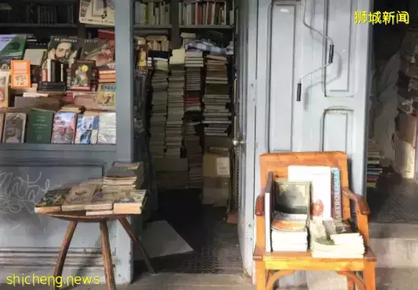 中新国际学校大对比,新加坡留学为什么那么热门