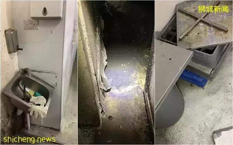 工厂被揭有蟑螂老鼠 成发豆干被罚3000元