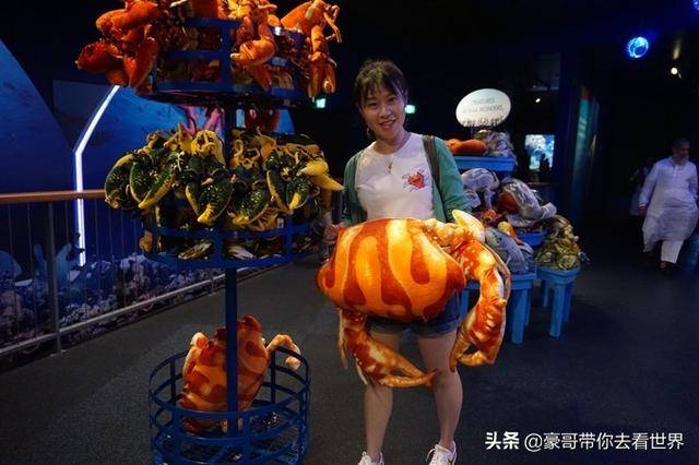 新加坡不枉此行的10大看點（中）分三集介紹