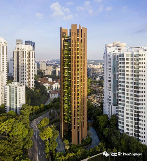 3亿新币买下乌节路整栋20层公寓买家浮出水面,原来是这对父子