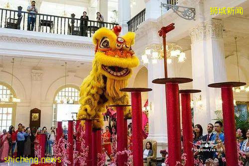 新加坡南獅鶴山獅團的曆史,這篇文章告訴你!