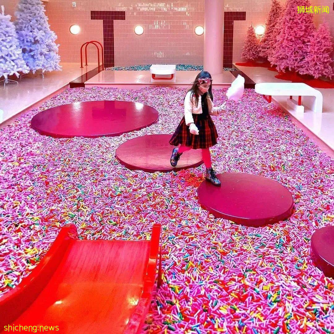 新加坡10個新活動！打卡冰淇淋博物館、總統府、到海底練瑜伽