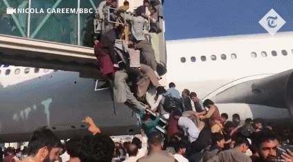 李光耀又“神預言”了美國和阿富汗？一夜變天！難民扒飛機高空跌落，自拍視頻曝光